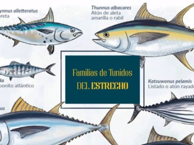 No consumas atún al tuntún